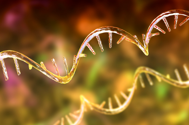 Ekran görüntüsü 2024-02-21 132711